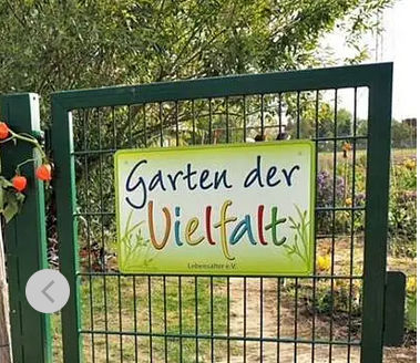 Bild nicht vorhanden